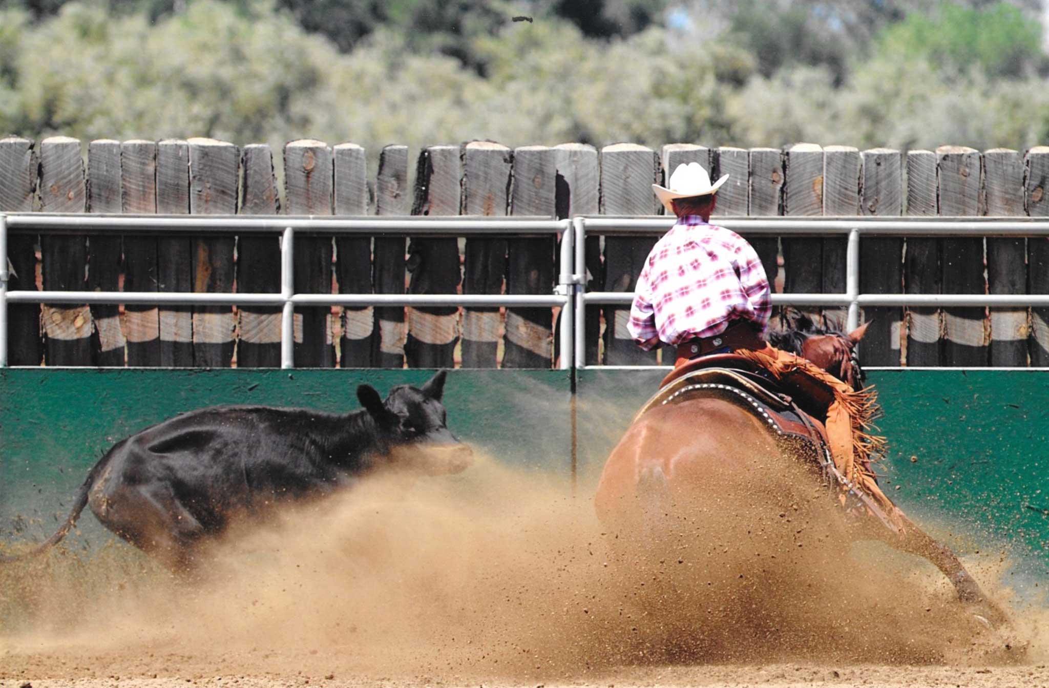 2021 CRCHA Derby Class List  California Reined Cow Horse Association