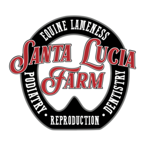 Santa Lucia Red & White Letters w Grey Outline