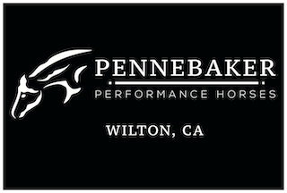Pennebaker Performance Horses - Small for Web
