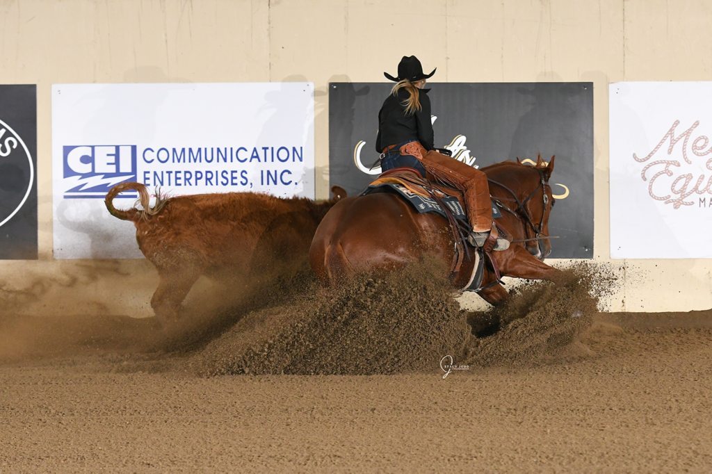 Open Derby, Lilla Bell and Ole Dan claimed victory in both the Open and Intermediate Open